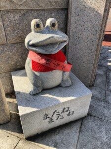 またねカエル